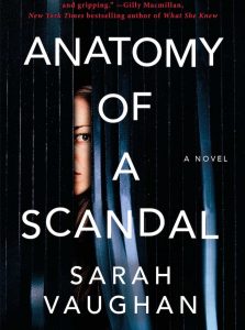 Sarah Vaughan: Anatomy of a Scandal book cover